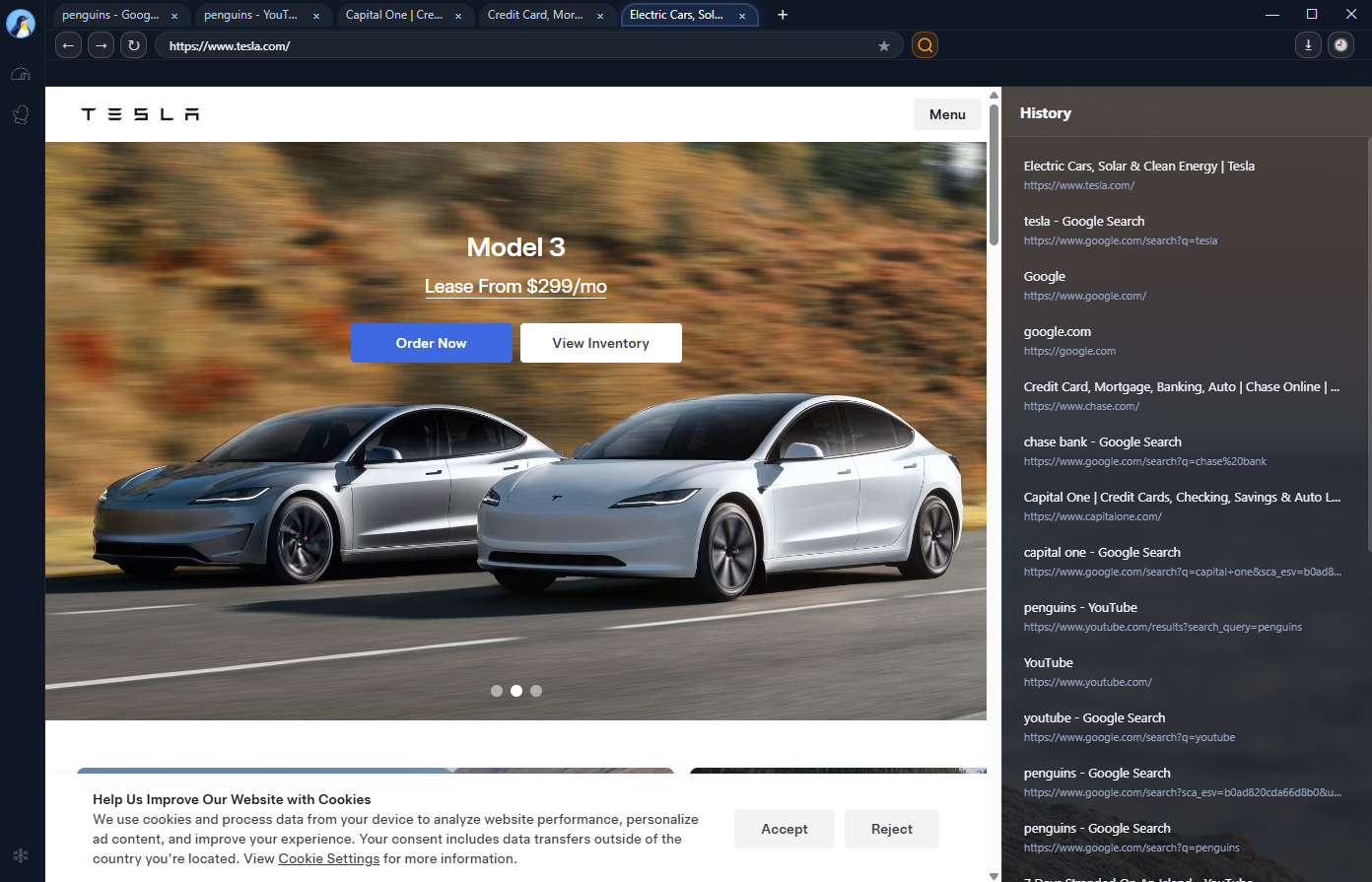 Penguin Browser history panel